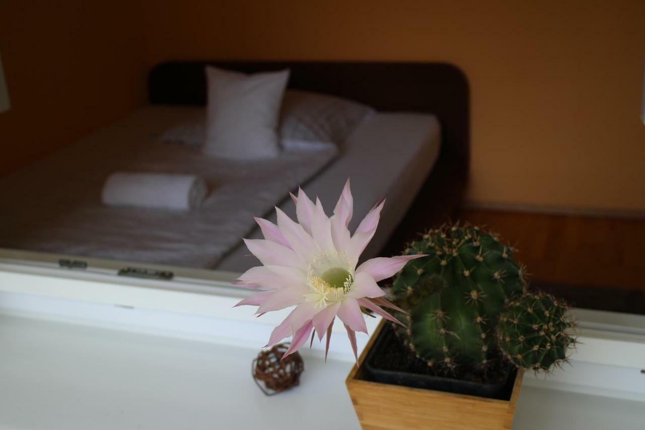 Bamboo Wellness Apartment Siófok Eksteriør billede